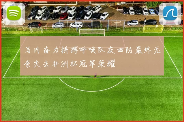 马内奋力拼搏呼唤队友回防最终无奈失去非洲杯冠军荣耀