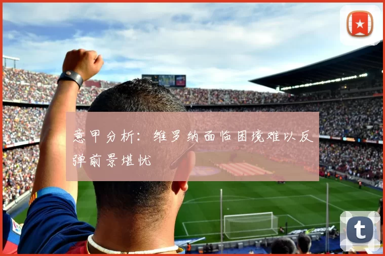 意甲分析：维罗纳面临困境难以反弹前景堪忧